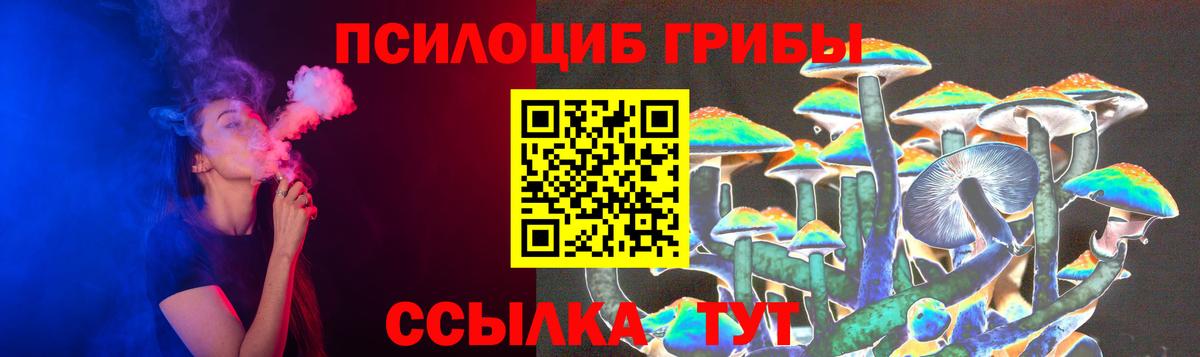 Псилоцибиновые грибы Cubensis Урай